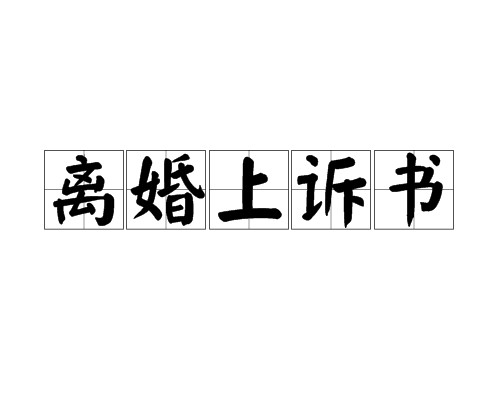 离婚上诉书