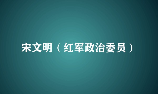 宋文明（红军政治委员）