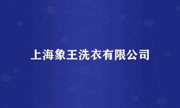 上海象王洗衣有限公司