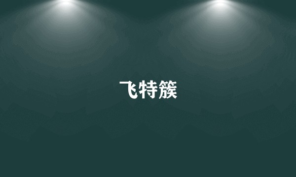 飞特簇