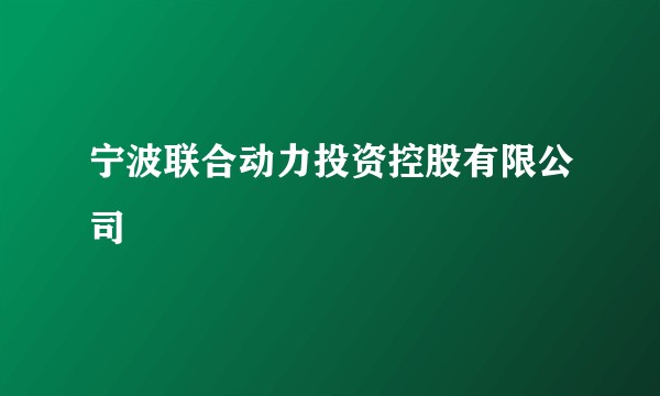 宁波联合动力投资控股有限公司