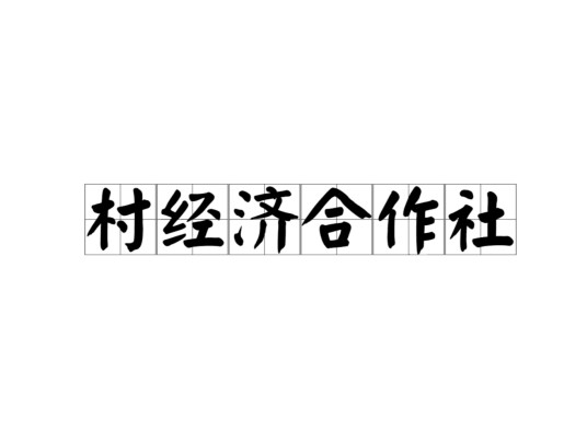 村经济合作社