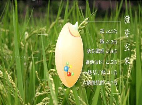 发芽米