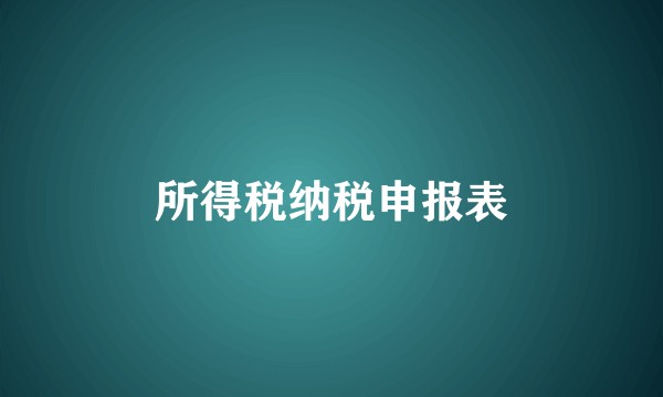 所得税纳税申报表