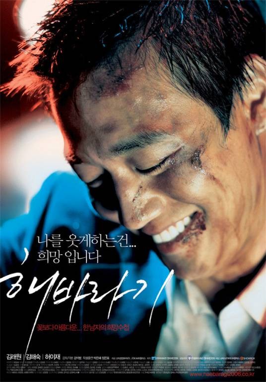 向日葵（韩国2006年金来沅主演电影）