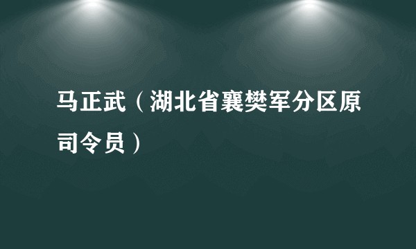 马正武（湖北省襄樊军分区原司令员）