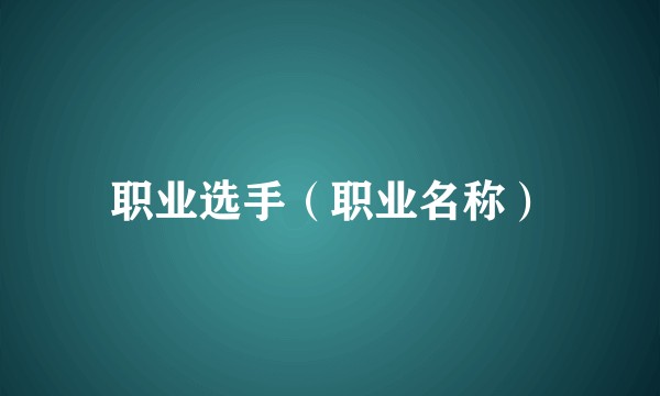 职业选手（职业名称）