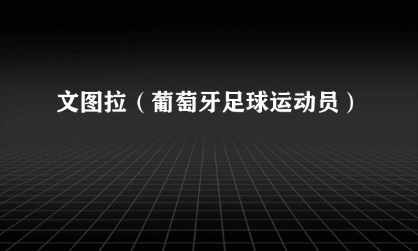 文图拉（葡萄牙足球运动员）