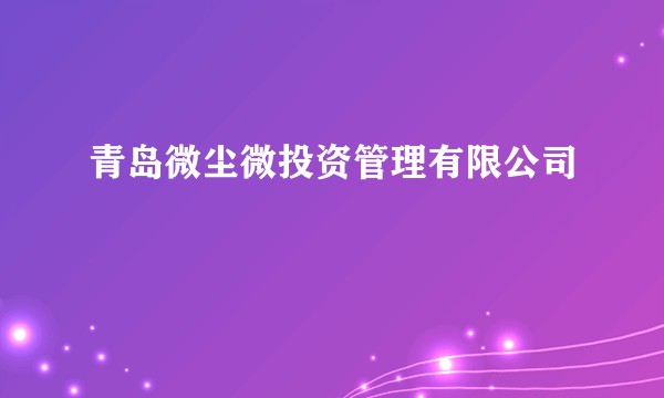 青岛微尘微投资管理有限公司