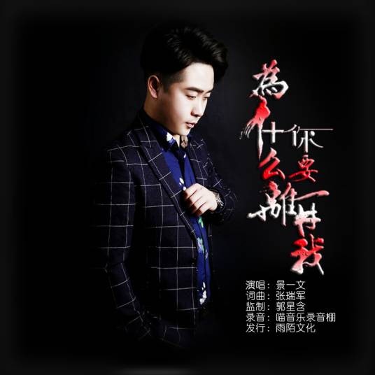为什么你要离开我（景一文演唱的歌曲）