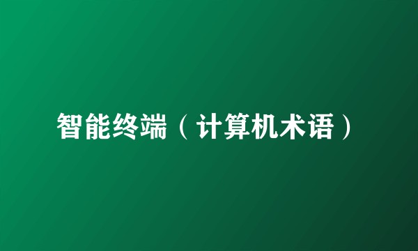 智能终端（计算机术语）