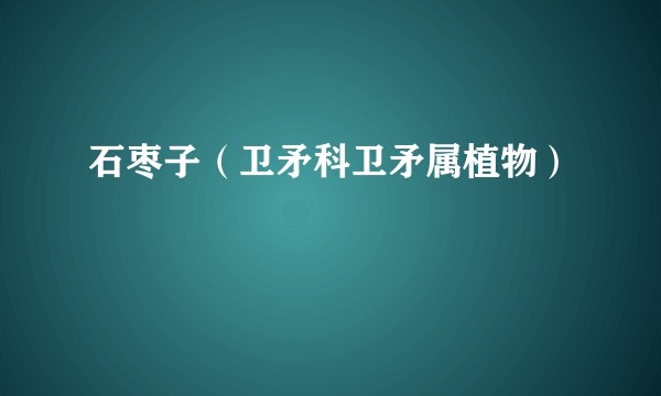 石枣子（卫矛科卫矛属植物）