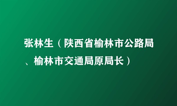 张林生(陕西省榆林市公路局、榆林市交通局原局长)