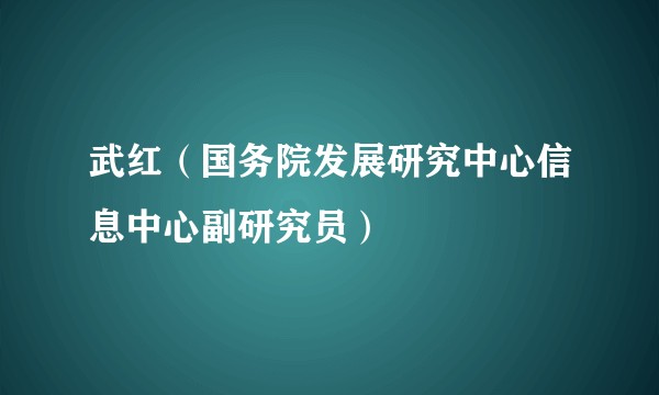 武红（国务院发展研究中心信息中心副研究员）