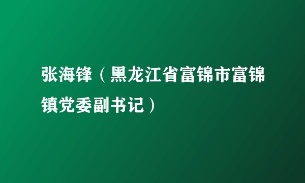 张海锋（黑龙江省富锦市富锦镇党委副书记）