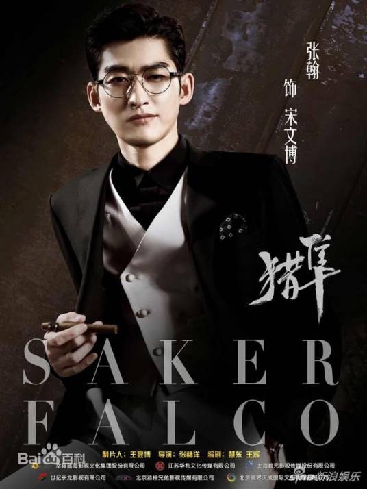 宋文博（电视剧《猎隼》男主角）