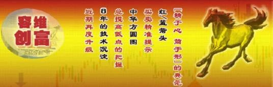 容维创富网