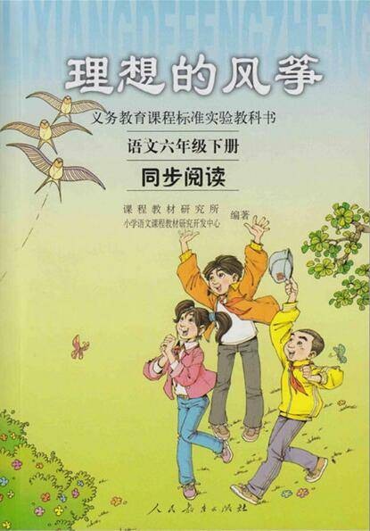 理想的风筝（2006年人民教育出版社出版的图书）