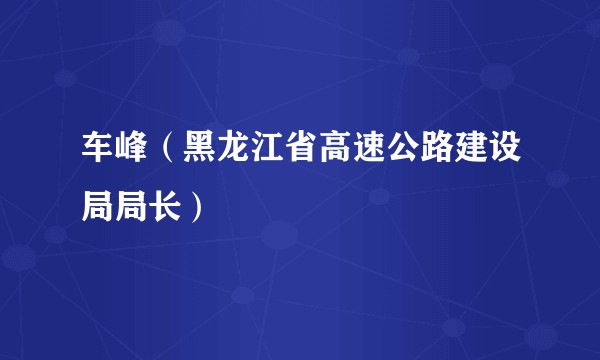 车峰（黑龙江省高速公路建设局局长）