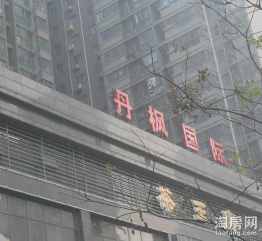 丹枫国际（北城小户型公寓）