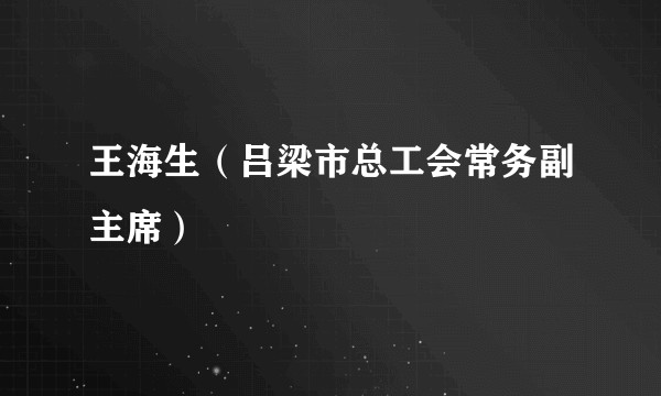 王海生（吕梁市总工会常务副主席）