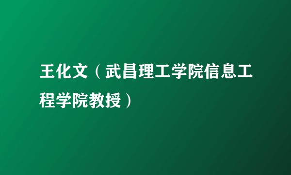 王化文（武昌理工学院信息工程学院教授）