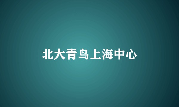 北大青鸟上海中心