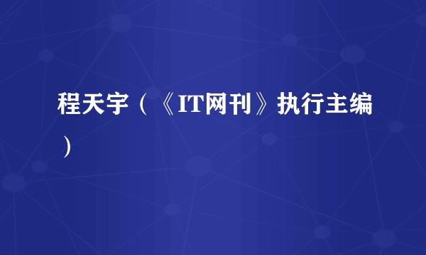 程天宇（《IT网刊》执行主编）
