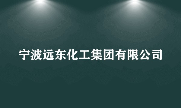 宁波远东化工集团有限公司