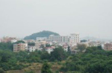 大塘村(广东省广州市南沙区黄阁镇下辖村)