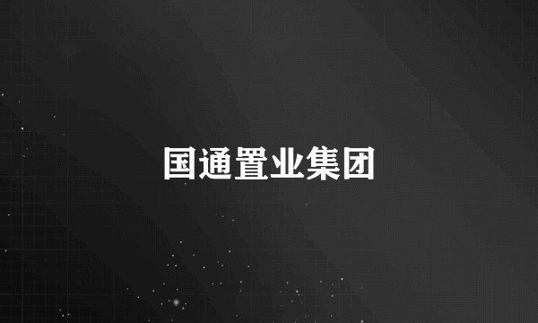 国通置业集团