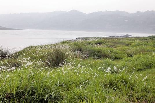 爱情河（岷江的二级支流）