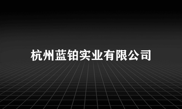 杭州蓝铂实业有限公司
