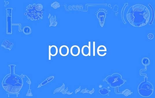 poodle