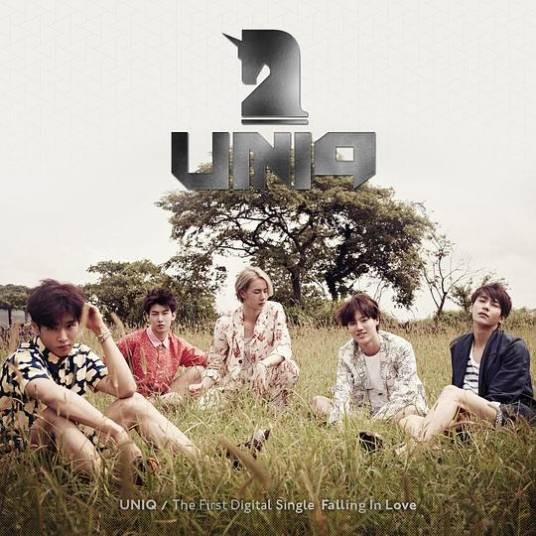 Falling in Love（UNIQ演唱的歌曲）