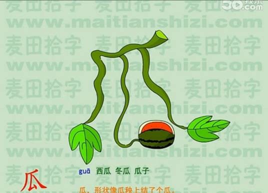 麦田识字