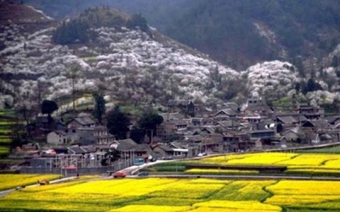 贵定金海雪山景区