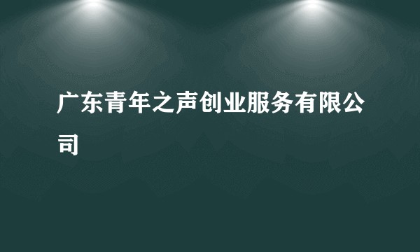 广东青年之声创业服务有限公司