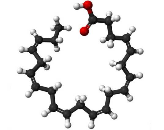 二十碳四烯酸