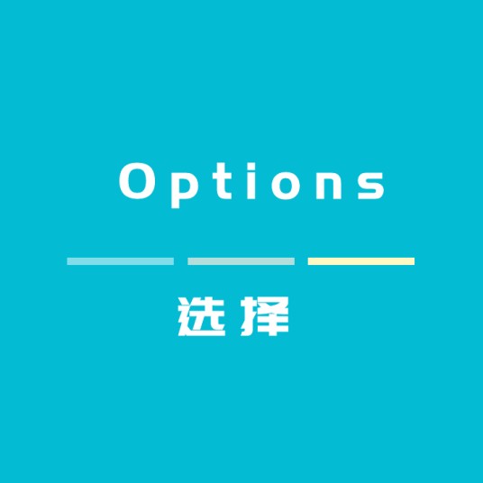 Options(英文单词)