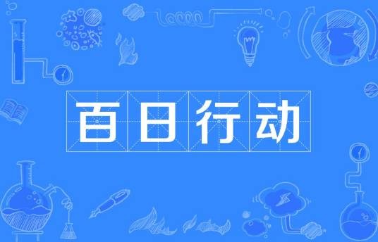 百日行动(2022年全国公安机关夏季治安打击整治“百日行动”)
