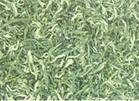 峨眉峨蕊茶