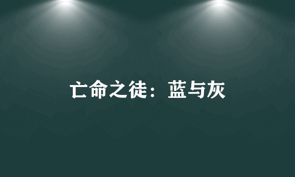 亡命之徒:蓝与灰