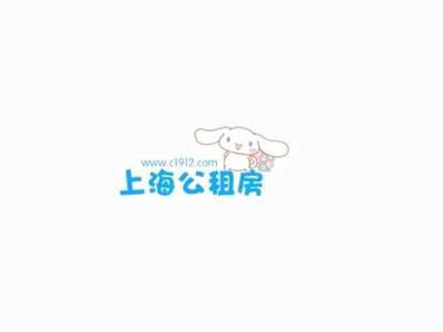 上海公租房信息网