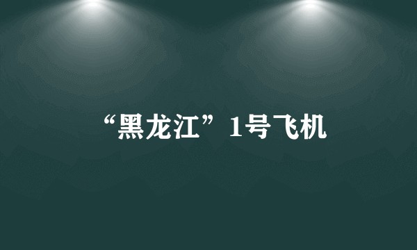 “黑龙江”1号飞机