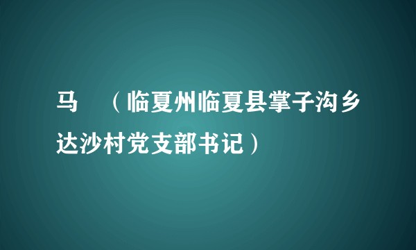马祎（临夏州临夏县掌子沟乡达沙村党支部书记）