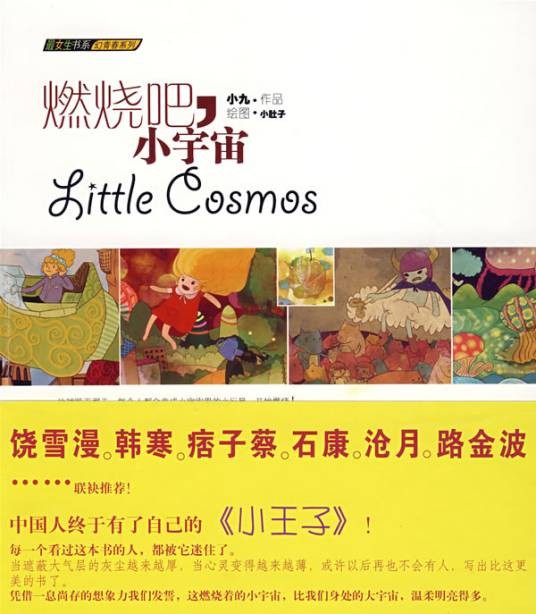 燃烧吧，小宇宙（2009年万卷出版公司出版的图书）