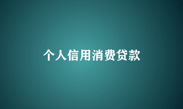 个人信用消费贷款