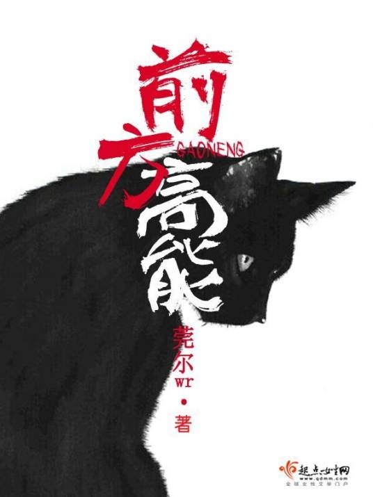 前方高能（莞尔wr创作的玄幻言情类网络小说）