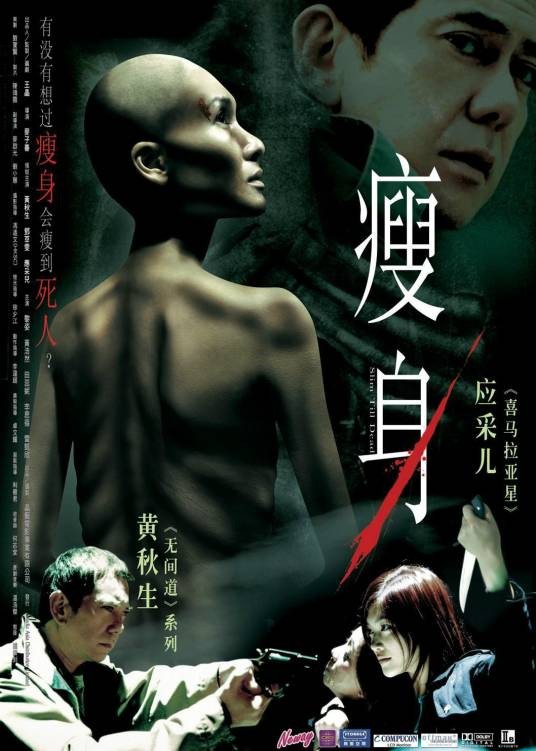 瘦身（2005年麦子善导执导的悬疑片）